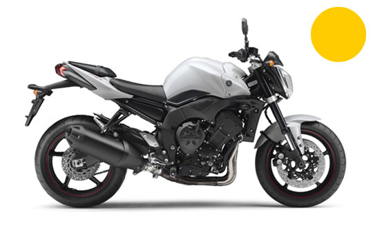 FZ1 ‘11
